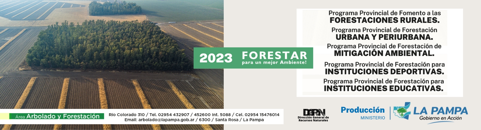 Forestaciones 2023