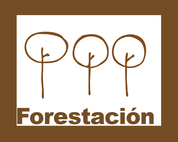 Forestacion